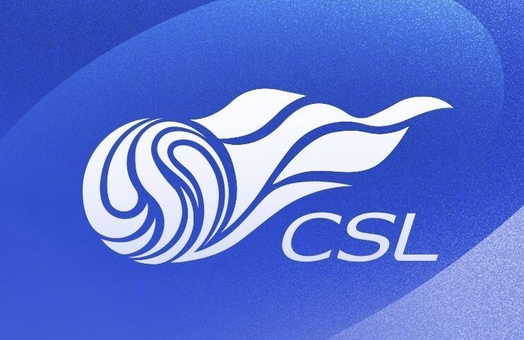 筹码与风险 筹码与风险